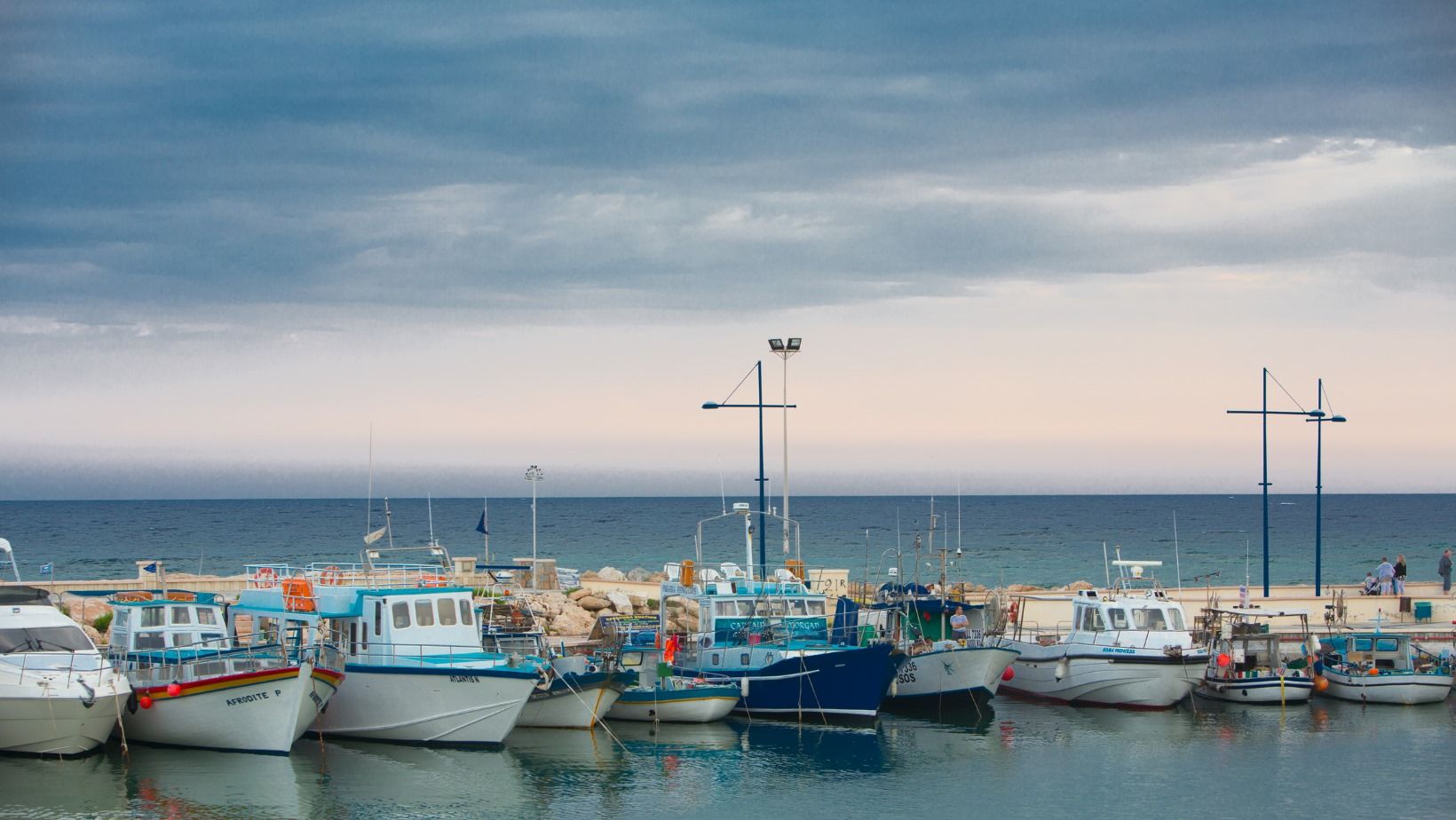 Fish and seafood Ayia Napa and Protaras | Collections | wiz cyprus guide